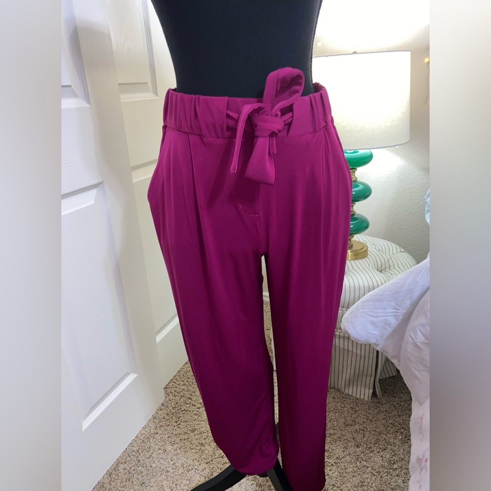 Express knit Fuschia Ankle Pants - XS